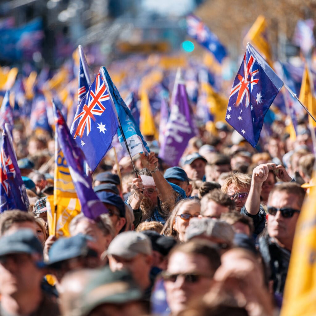 One Nation party election influence