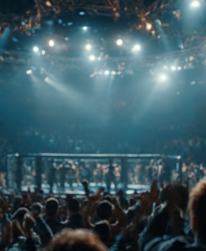 MVP MMA growing popularity in America during live combat sports event