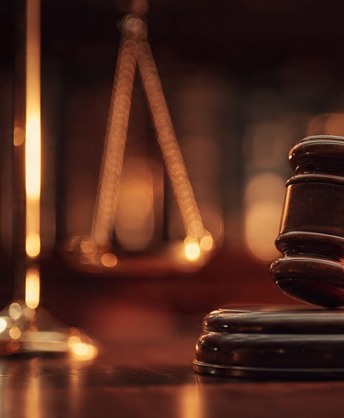 Diego Luna image rights case